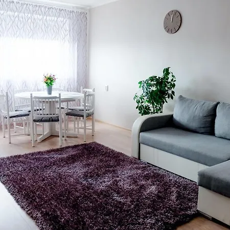 Metsa 47 Apartement Apartment