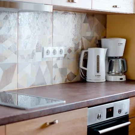Metsa 47 Apartement Apartment